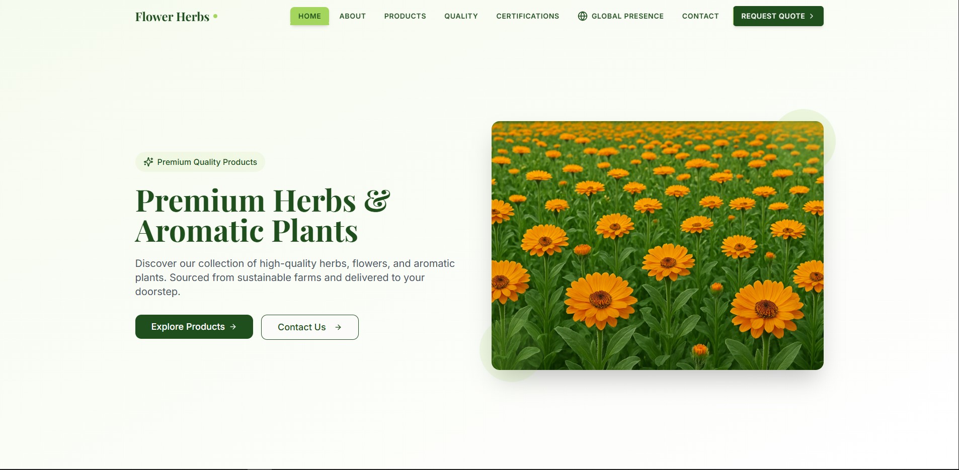 Screenshot of Flower Herbs Egypt website